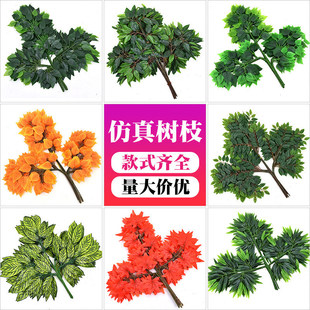 �����֦���m�~������������֦�^�z�����~Ƭ�٘�֦�쾰�@������