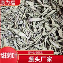 甜菊叶 甜叶菊 甜菊叶花茶 中药材甜菊叶 代打粉 各种冷背
