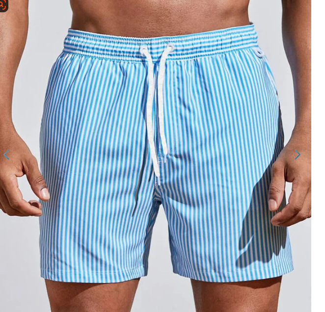 Striped Mesh Board Shorts Blue White