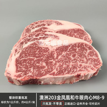 ����203���P�˺�ţ������M8-9 ���ѩ��ţ�ż�ͥ�����������ţ��