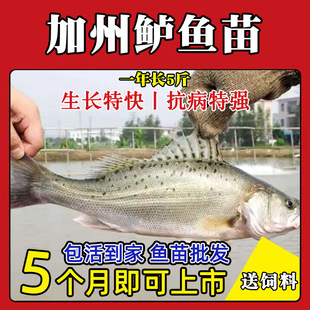 ��Ʒ�N���|�|�~������|�~��·�����ں��|�~����ˮ��ˮ�Bֳ�~��