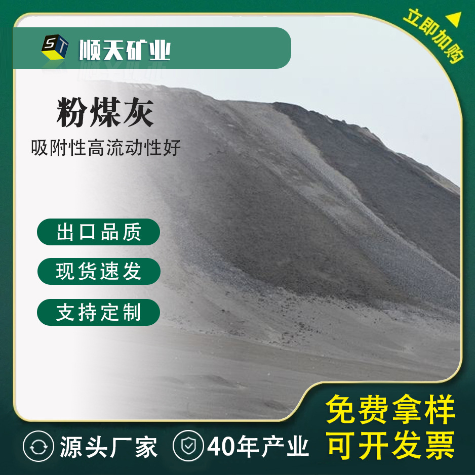 厂家供应袋装粉煤灰 混凝土添加一级二级三级粉煤灰 高校实验室用