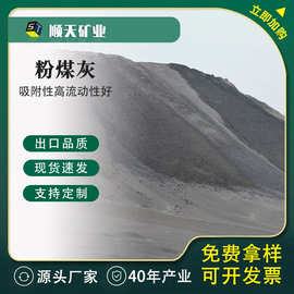 厂家供应袋装粉煤灰 混凝土添加一级二级三级粉煤灰 高校实验室用