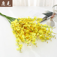 ���������m�������������S���ٻ���c�Ҿ��b��L�U��ط�������m