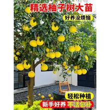 ���Ә������ɳ���ֹ����ش�̖�޽������ֺ��B�t�������ϱ����ɷN