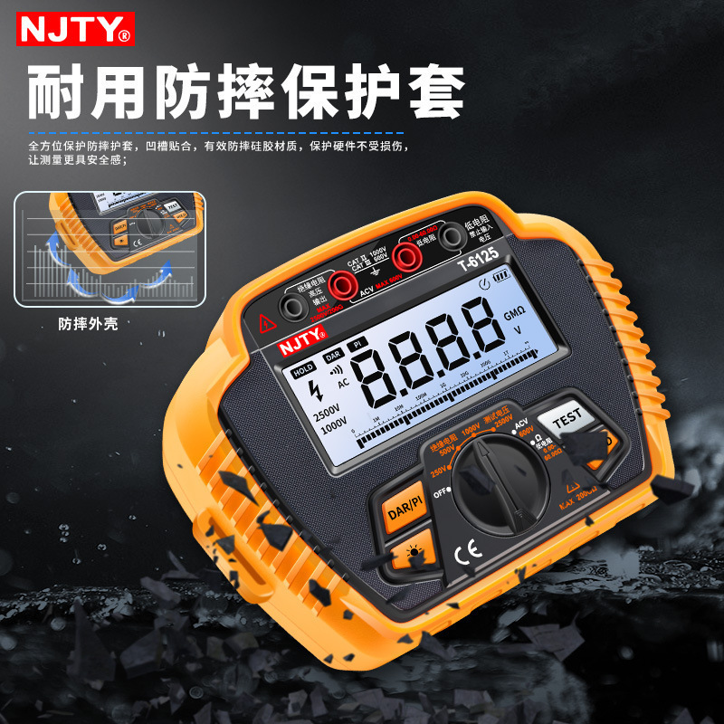 南京天宇T6125高精度绝缘电阻测试仪200GΩ250摇表数字兆欧表电工