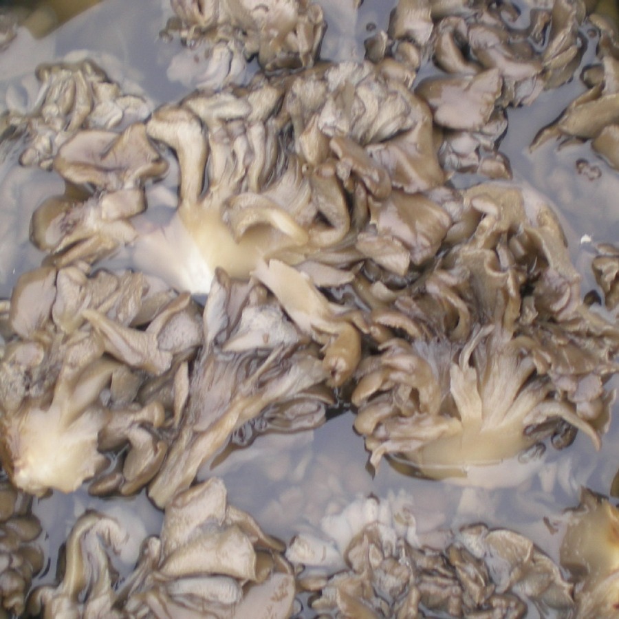 2024-04-23 18:10:26.jpg