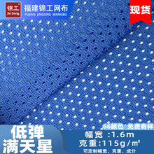 75D全涤鸟眼布面料小眼网布内里料低弹满天星运动针织速干透气
