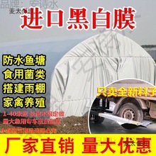 �ڰ�Ĥ���ϲ��Ӻ�����B�u���Bֳ������ꖷ���N�����ϲ�����̫��