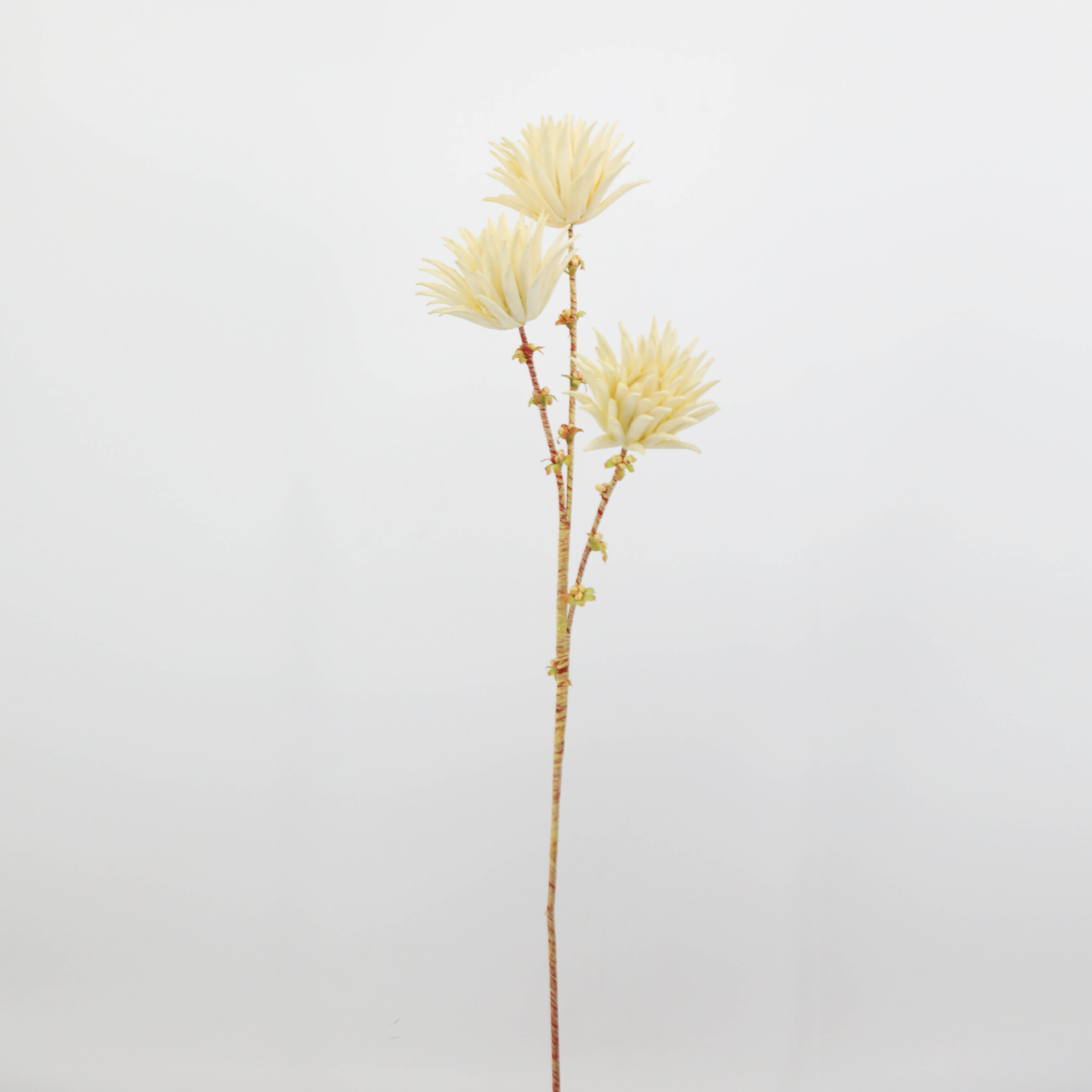 Flor de EVA PE falso patrón de decoración floral floral suelo floral flor seca floral suave floral espuma flor fotografía de boda