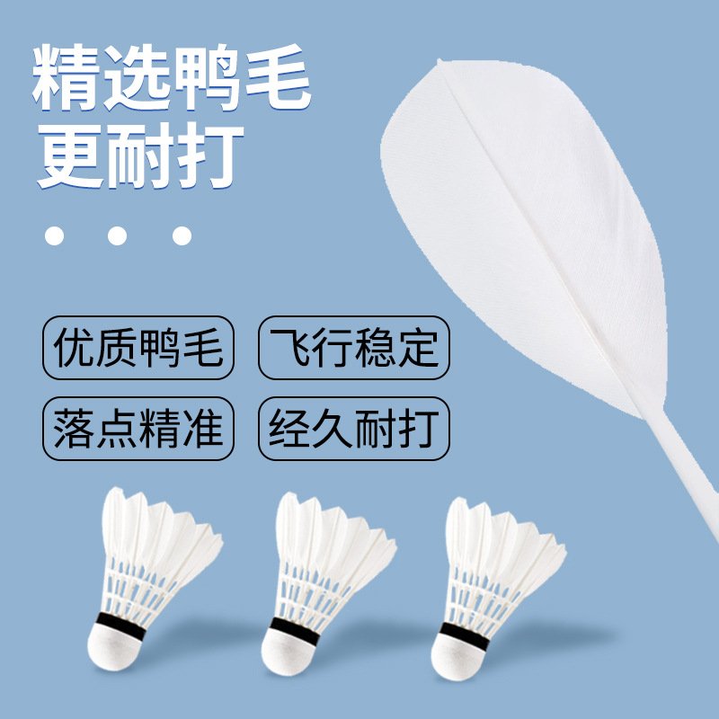 ウィニソンのバドミントンの規格品の初級は娯楽の訓練のボールを練習します。