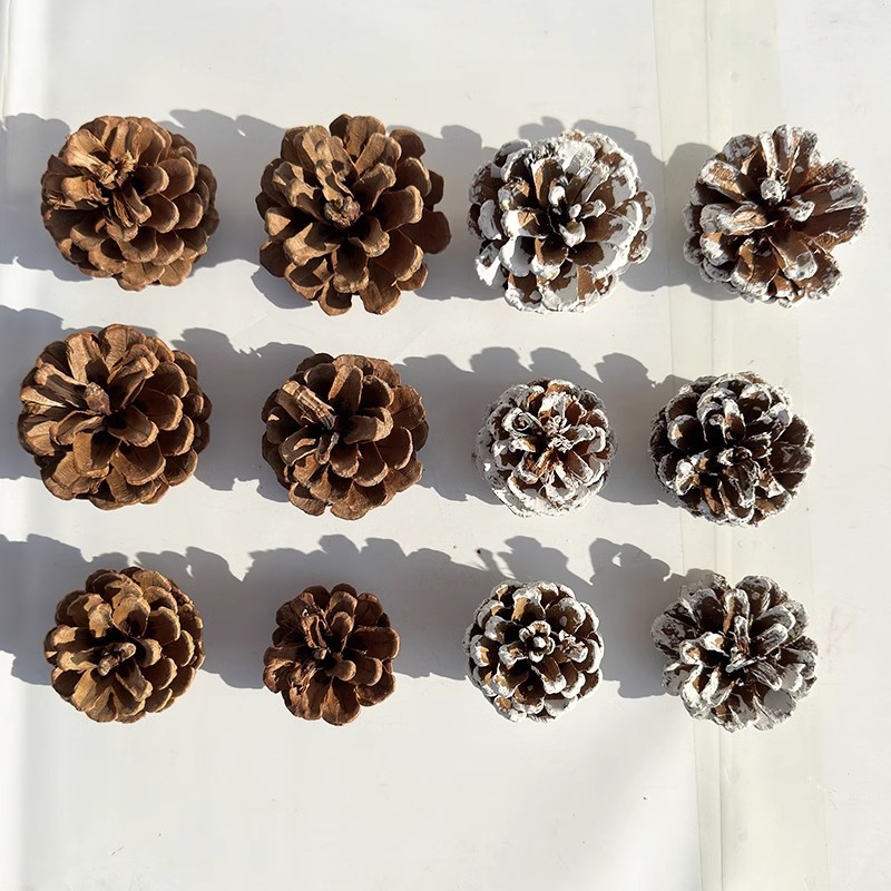 圣诞节天然松果摄影道具圣诞树搭配装饰品手工DIY鲜花束配件材料
