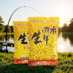 �����L��Ԫ���r����600g�������w��ҰឺڿӴ�C����N���ļ���