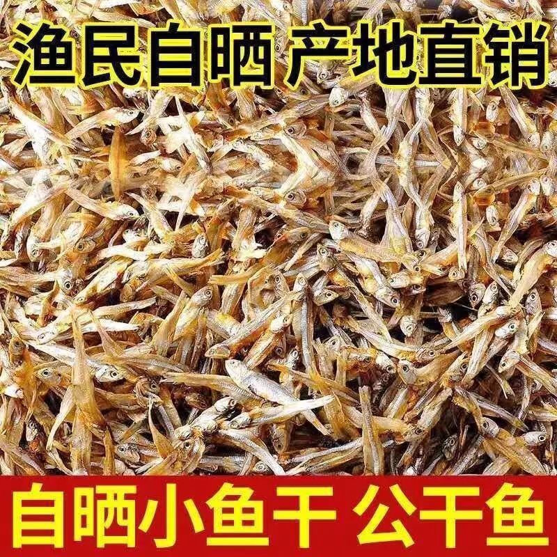 公干鱼500g小鱼干新鲜海燕银鱼干海鲜干货自晒丁香鱼鱼淡水无盐