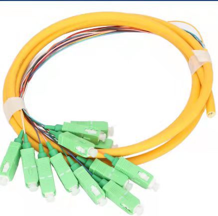 ���� 12о��״β��SC��ģ��������1.5�׵��ż� bunch pigtail