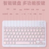 Fuchsia keyboard, pack