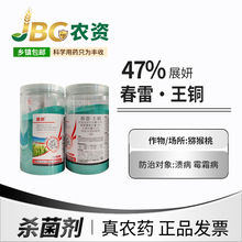 展妍 47%春雷·王铜 可湿性粉剂猕猴桃溃黄瓜霉霜杀菌剂1kg