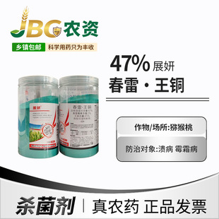 չ�� 47%����&middot;���~ �ɝ��Էۄ��J���ҝ��S��ù˪������1kg