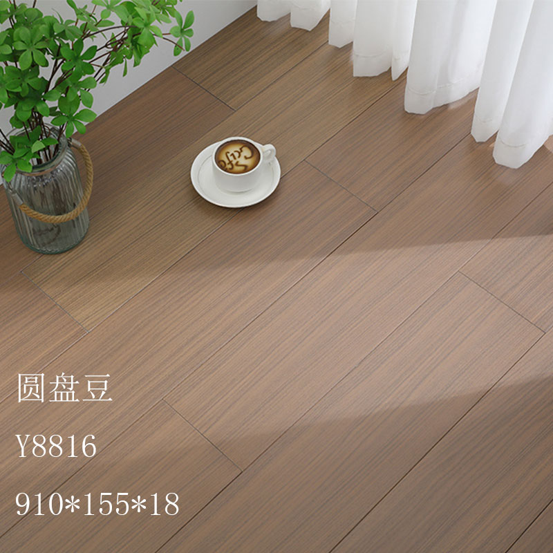 브라운 디스크 콩 Y8816