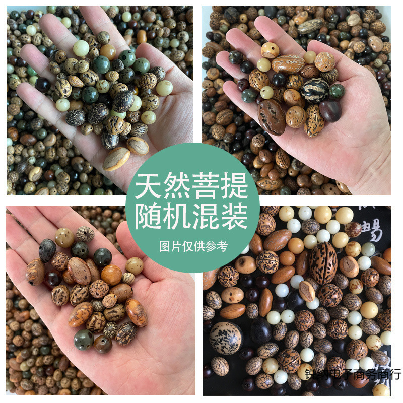 各種菩提混合半斤卸売天然菩提金剛鳳眼龍眼ソープフルーツ風化菩提根|undefined