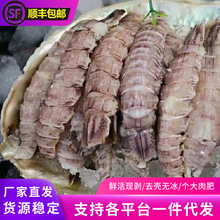 鲜冻皮皮虾肉鲜活现剥速冻虾爬子冷冻赖尿虾虾婆婆商用海鲜水产