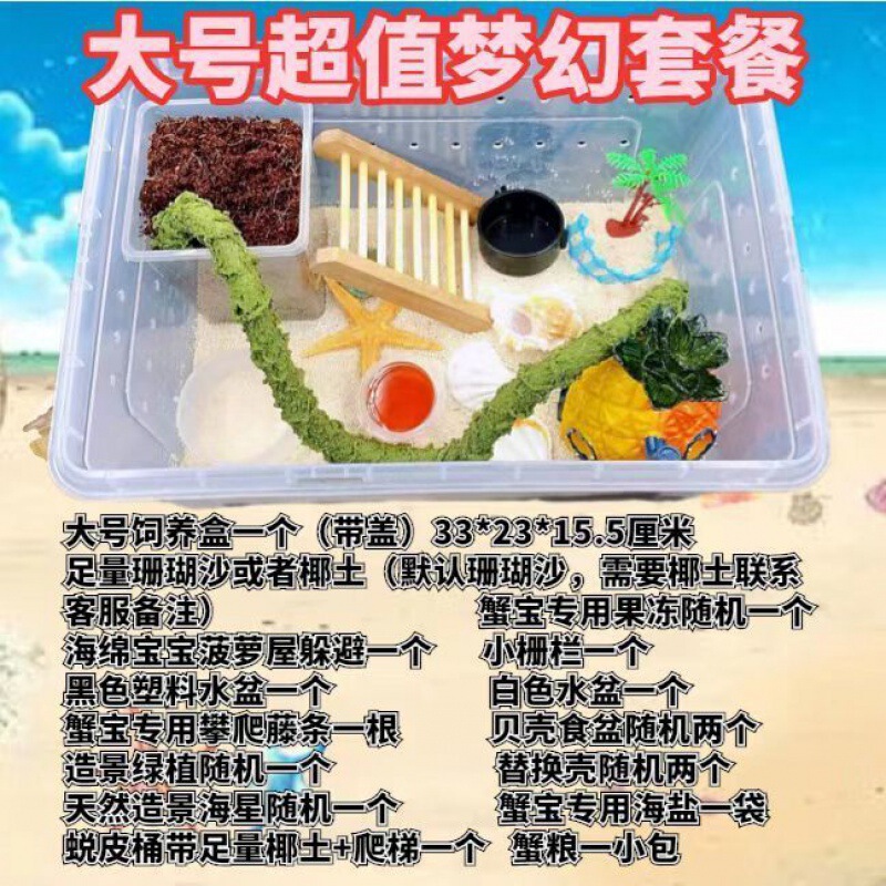 寄居蟹专用饲养爬宠饲养盒昆虫观察盒新手套装饲养缸寄居蟹套餐|undefined