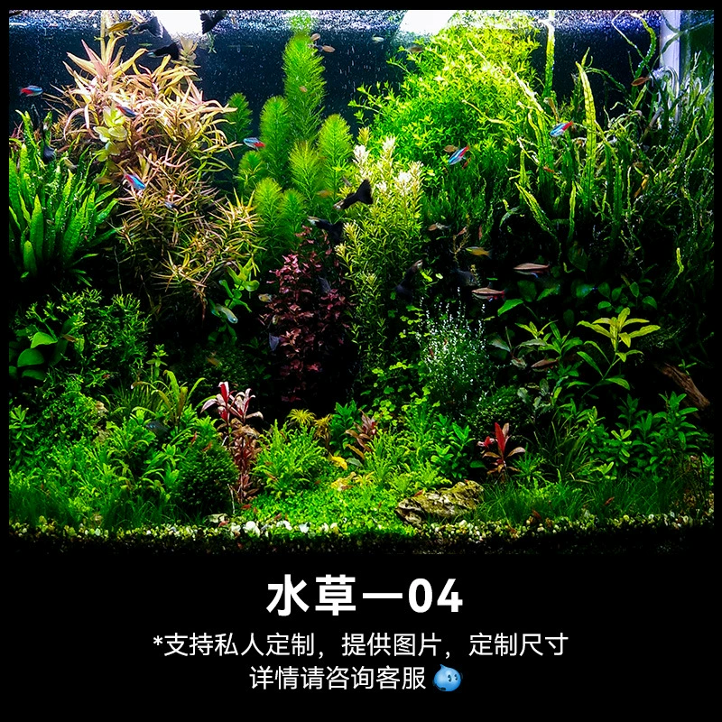 3D наклейка на стену для аквариума, водорослевые наклейки, размеры 30×20–150×60 см, узоры Waterweed01–16