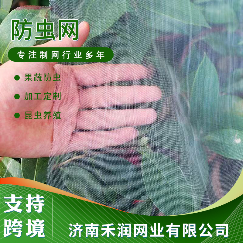 聚乙烯厂家销售果树防虫网罩 支持跨境加厚果蔬农用纱网大棚用
