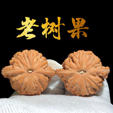 ĥ�P�{���^���搞�����������ʿ�ղ������ǰת{�Ӿ��x�䌦�Ϙ��