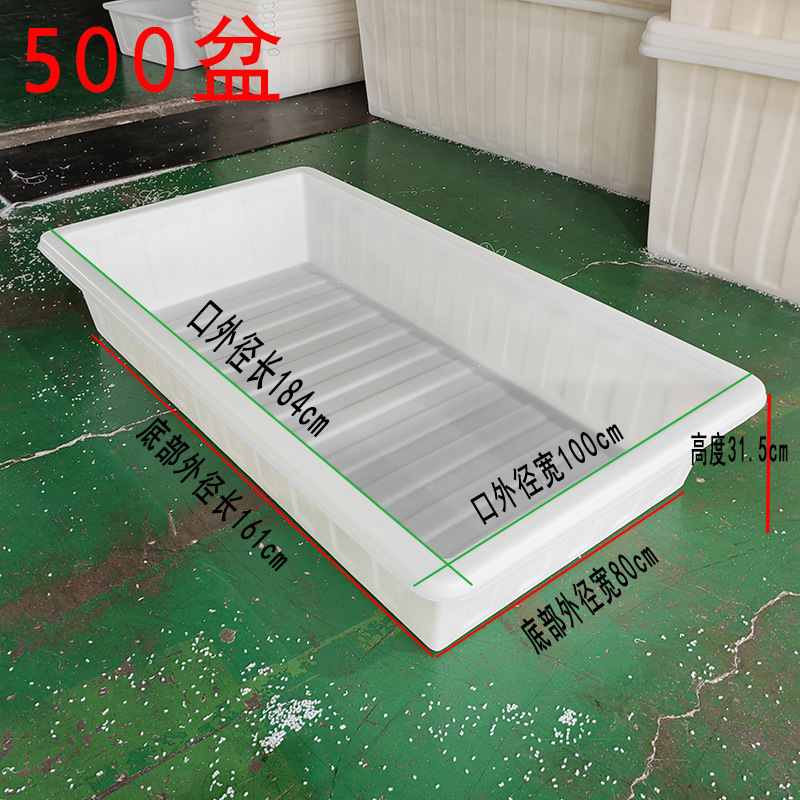 500개  순백색
