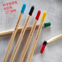 玩耍网红励志铅笔笔工厂爆品发芽种子木制励志语录笔组合木质铅笔