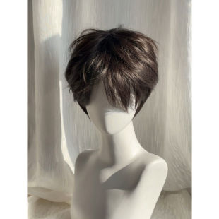 Wig Boys Short Hair Korean Style Differential Broken Cover Men's Natural Fluffy Men's Winter New Artificial Hair Full Head Cover