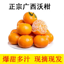 �ָ̮������rˮ����֭���ڏV�����x�ָ��ٽ��ӬFժ�F�l���@ֱ��