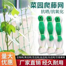 爬藤网农用植物山药黄瓜豌豆苦瓜豆角丝瓜吊瓜百香果攀爬网种植网