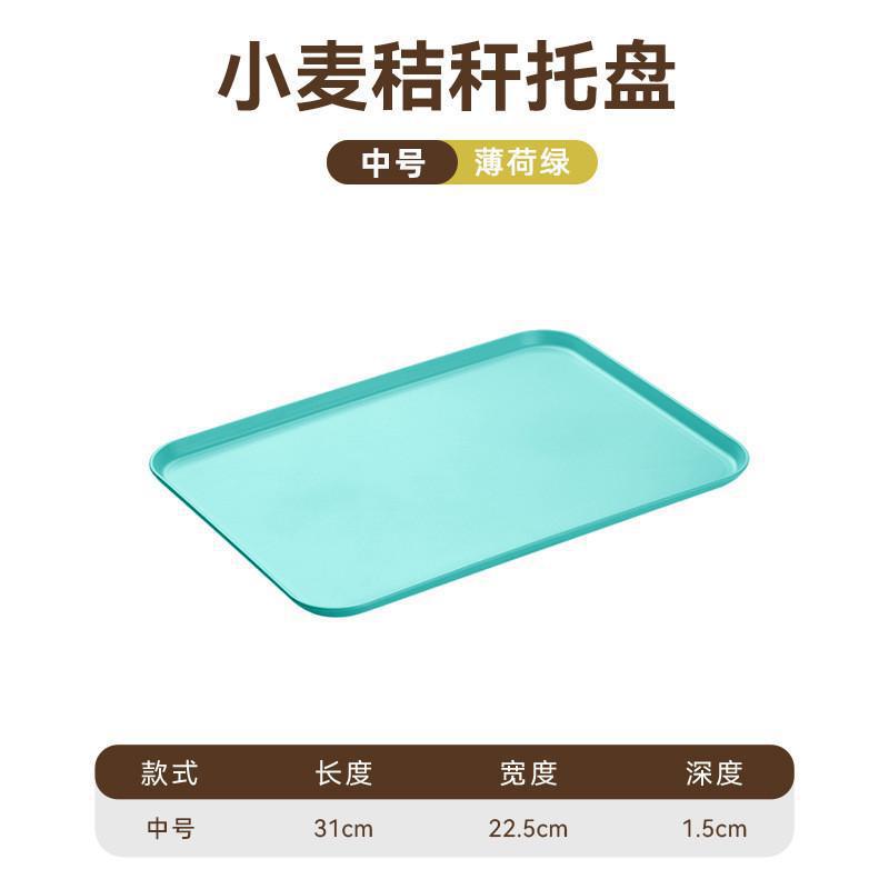 2 Size Plastic Fruit Dessert Tray Desktop Food Storage Plate