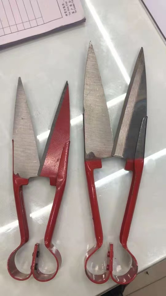 Tijeras para Esquilar Lana de Acero 50 para Uso Industrial