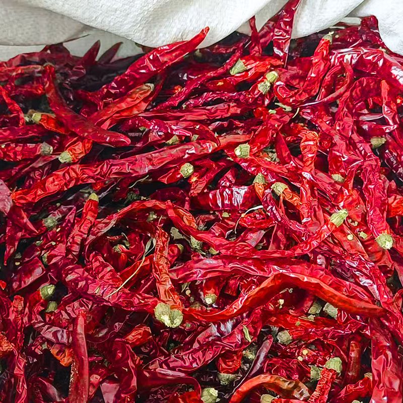 辣椒干辣椒新二荆条精选贵州干辣椒辣椒干货特香微辣线椒正宗批发