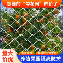 ���P��\�F�z�W䓽z�W������o�ھW�����Bֳţ��r�u�W�ˈ@�����W