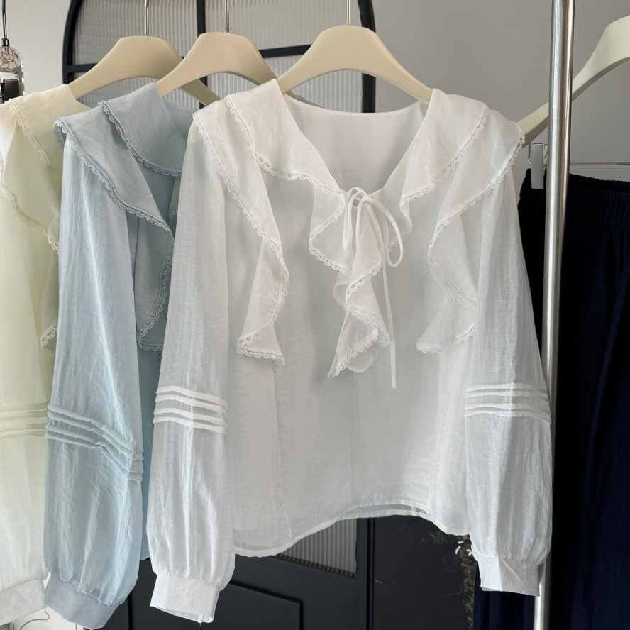 French V-neck chic long sleeve shirt women's small 2025 new design sense niche temperament ruffled top