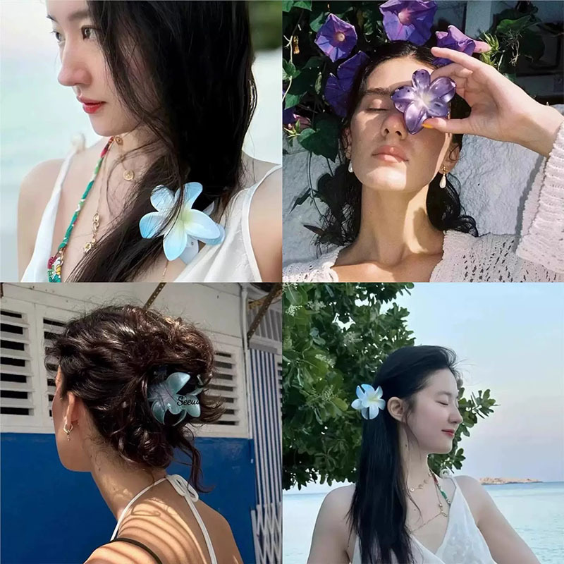Fermaglio a forma di artiglio di plumeria, di tendenza tra Europa e America, per donna, colorato e versatile, ideale per la coda di cavallo alta._voghion.com