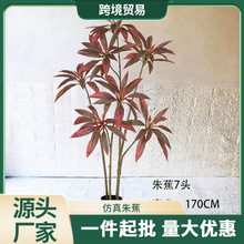 �����콶�҃ȿ͏dֲ�����������bپGֲ�[������٘�