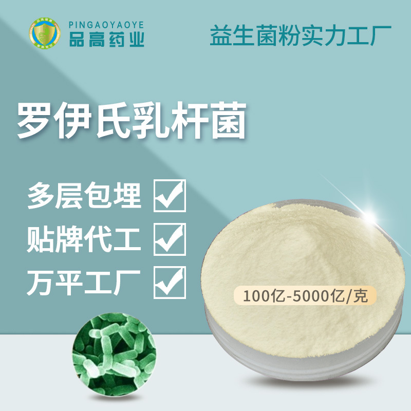 源头生产厂家 罗伊氏乳杆菌 100亿-5000亿 食品级 益生菌原料粉