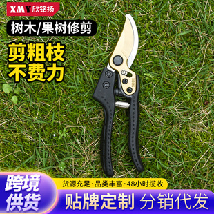 SK5䓏����@�֘�֦�����๦�ܼ����辰��֦��@�ֹ�ľ��֦�����l