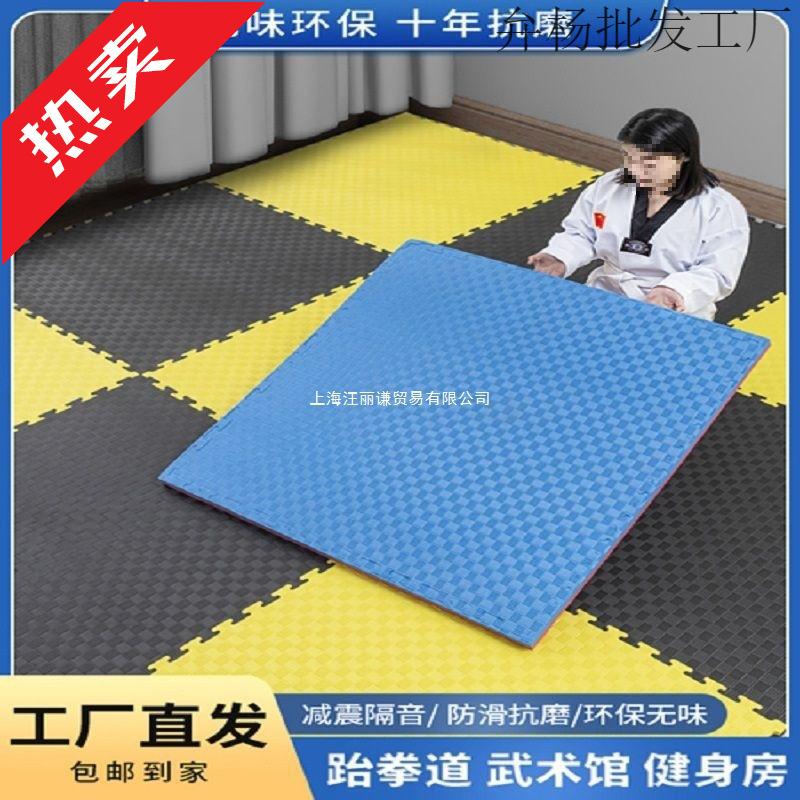 Professional Environmentally Friendly Taekwondo Thickeneded Training Sanda Dance Fighting Kindergarten Hip-Hop Martial Arts Foam Special Mat