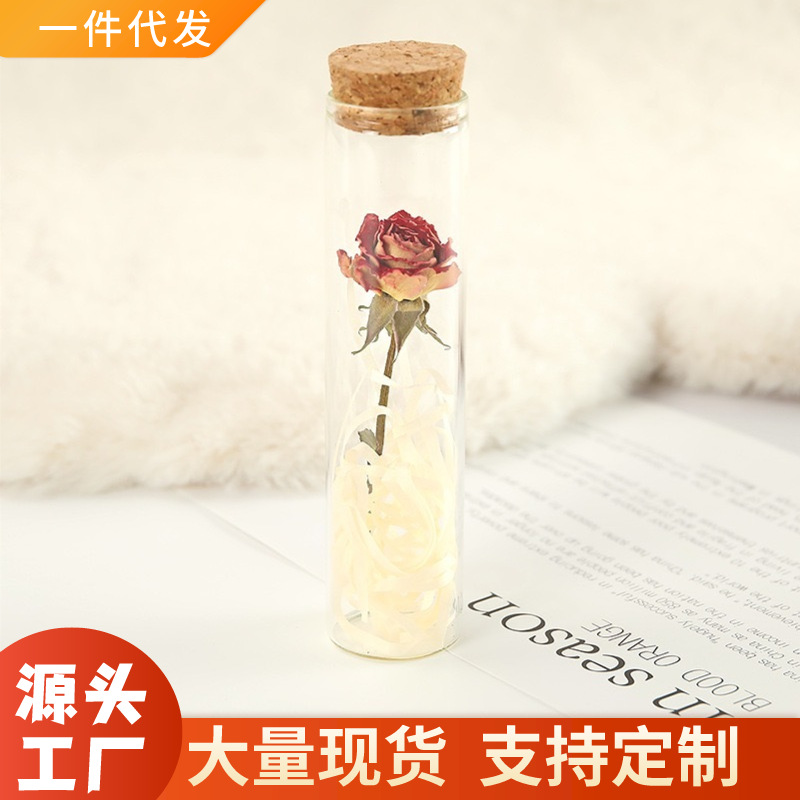 Wholesale Little Prince Rose Test Tube Dried Flower Specimen Gestars Wish Bottle Decorative Ornaments Valentine's Day Gift for Girlfriend