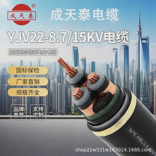 ̩YJV22 8.7/15KV 3*35/50/70/95/120/150/185/240߉|