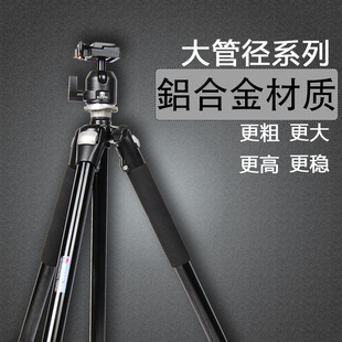 �S����3080���I�L���η����C����X�Ͻ����Ĕz����ؔzӰ���_��