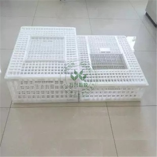 Դ�^�S�����a�\�u�� ȫ�������z�\�u�\ ��̭�uë�u�\�u��