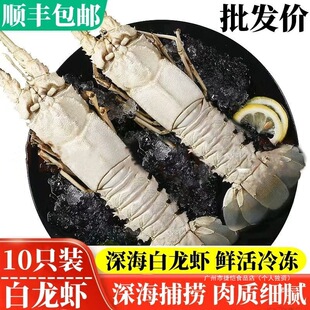 �����r�r������������r������r��r���������ô��r���Ұ��