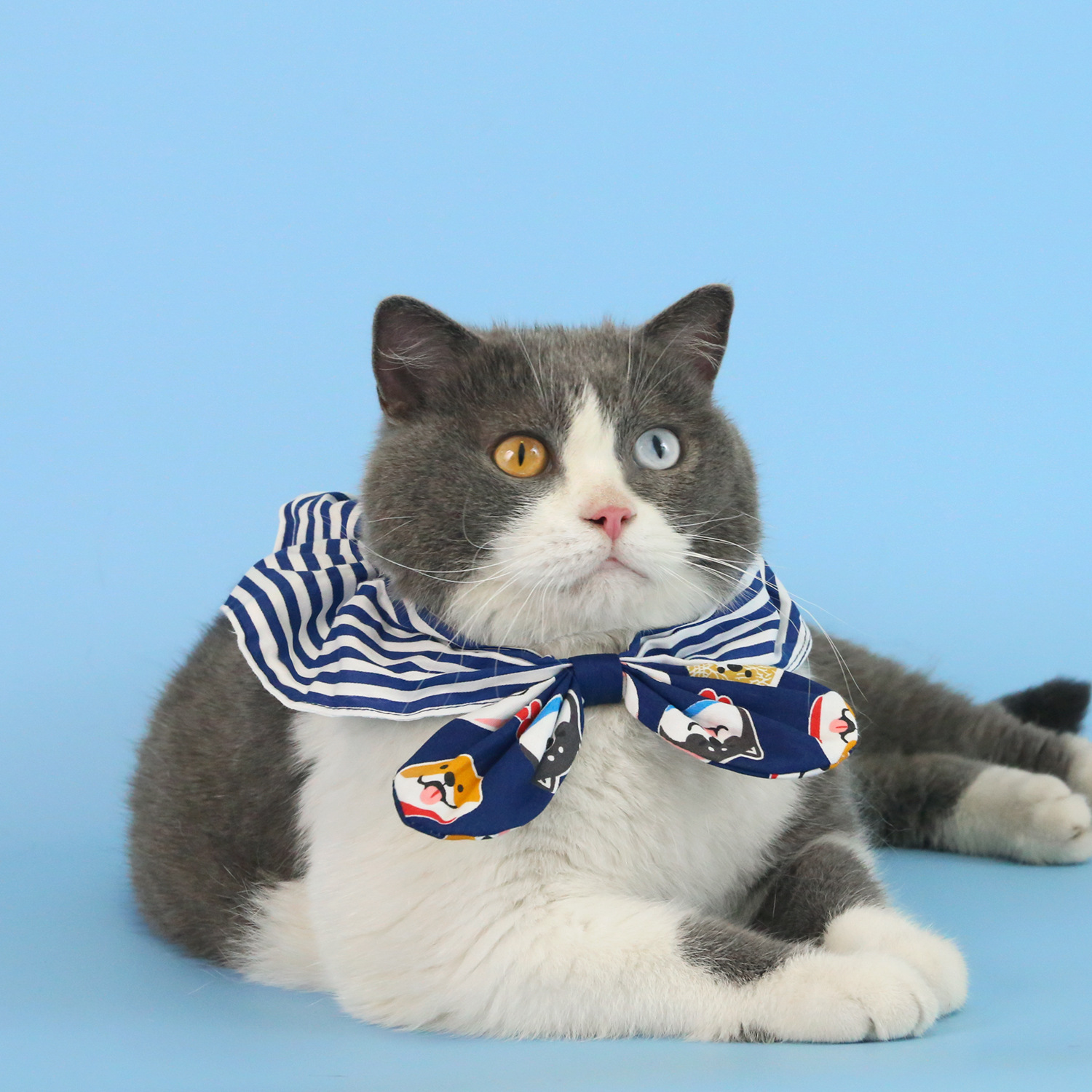 Pet gato perro pequeño babero estampado de dibujos animados bufanda triangular toalla de saliva babero a rayas lindo tocado lazo image 3